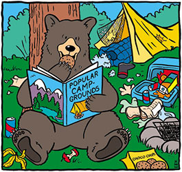 Campground bear cartoon