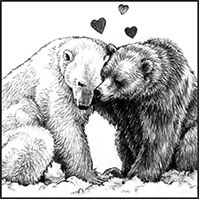 Grolar Bears pencil drawing