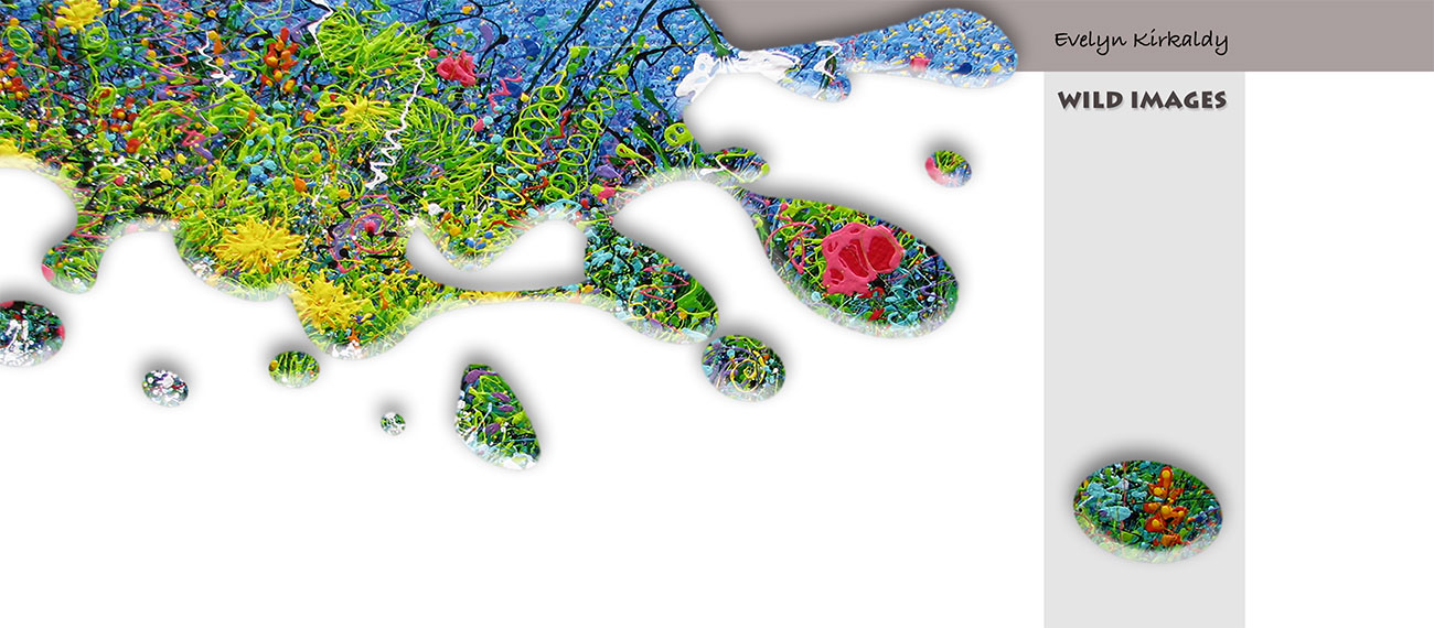 Evelyn Kirkaldy Wild Images Banner
