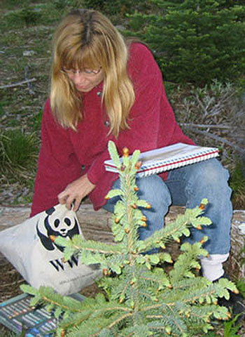 Plein air sketching in the Kootenays
